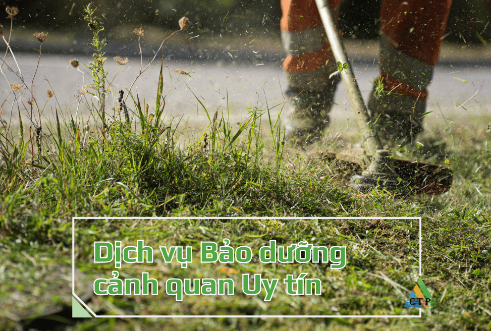 Dịch vụ Bảo dưỡng cảnh quan Uy tín